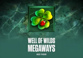 Well Of Wilds Megaways
